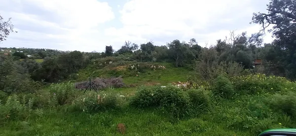 Spot image