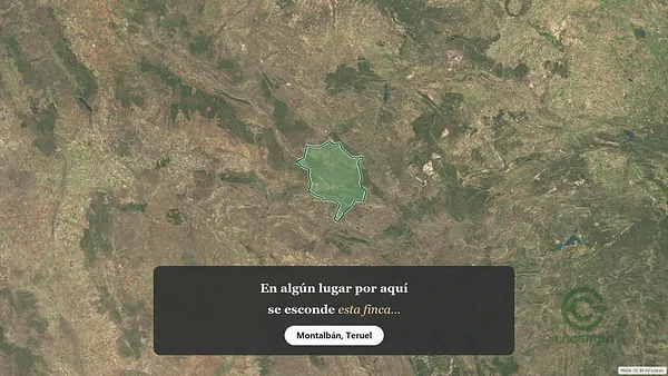 Spot image