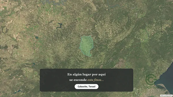 Spot image