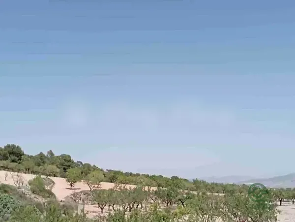 Spot image