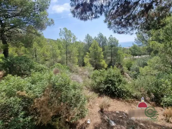 Spot image