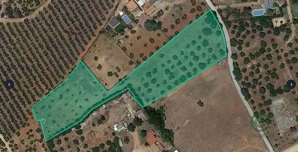 Spot image