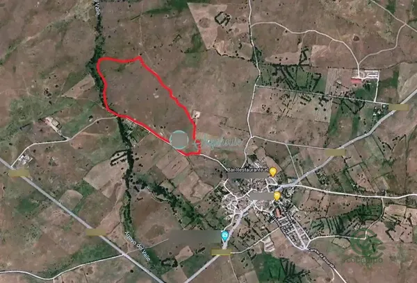 Spot image