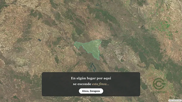 Spot image