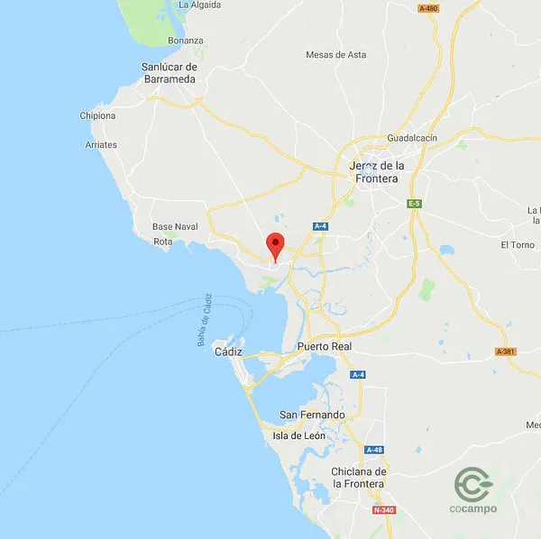 Finca rústica de 4,7 ha en venta en Puerto de Santa María, El, Cádiz