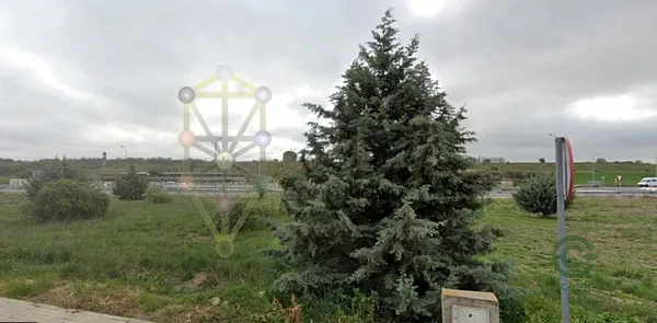 Spot image
