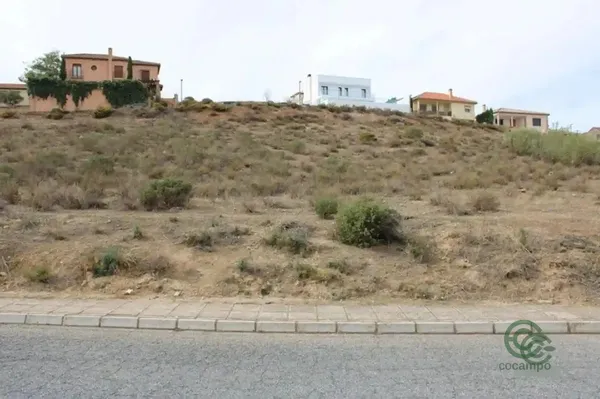 Spot image