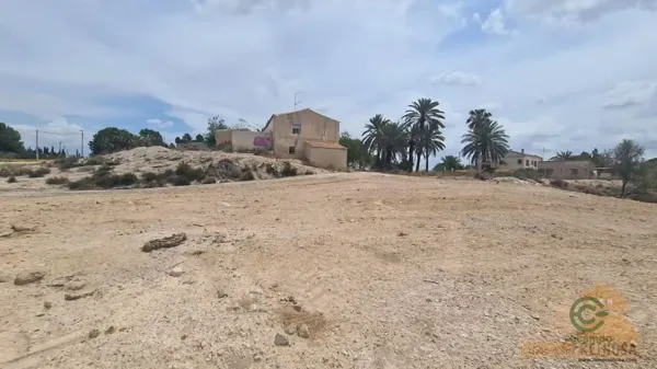 Spot image