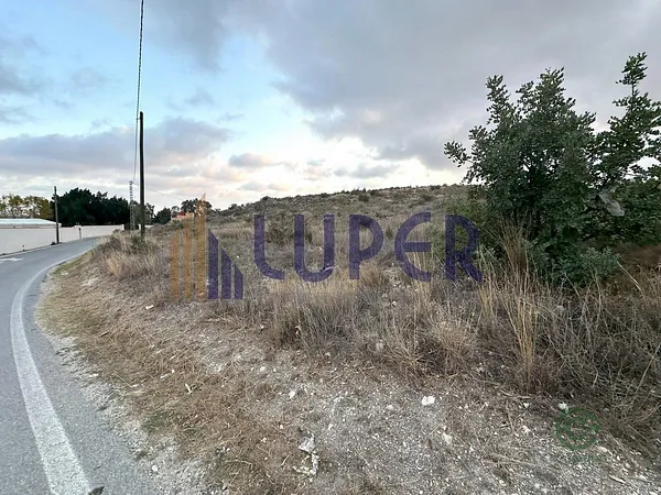 Spot image
