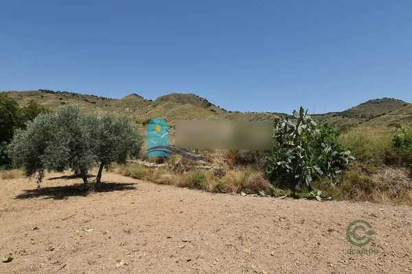 Spot image
