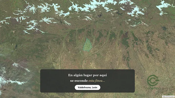 Spot image
