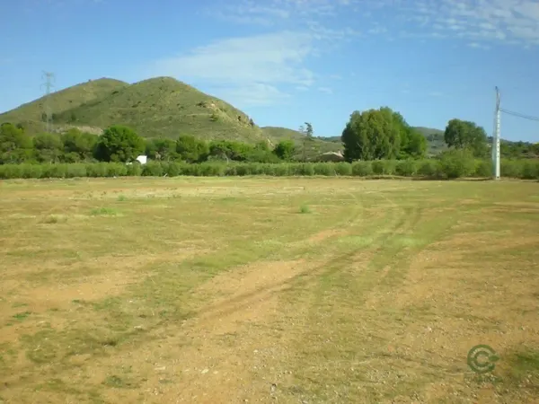 Spot image