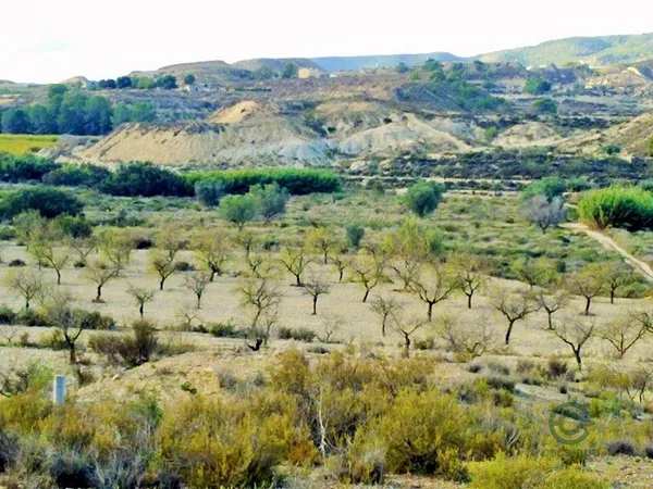 Spot image