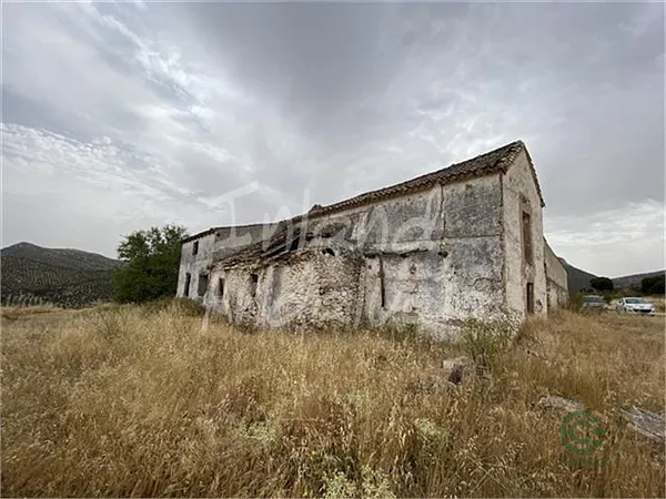 Spot image