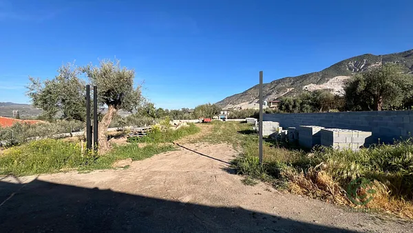 Spot image