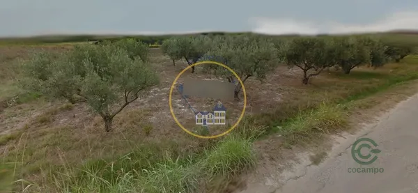 Spot image