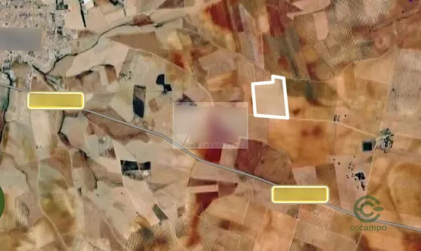Spot image