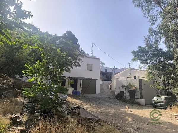 Spot image