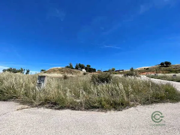 Spot image