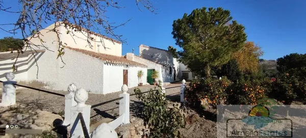 Spot image