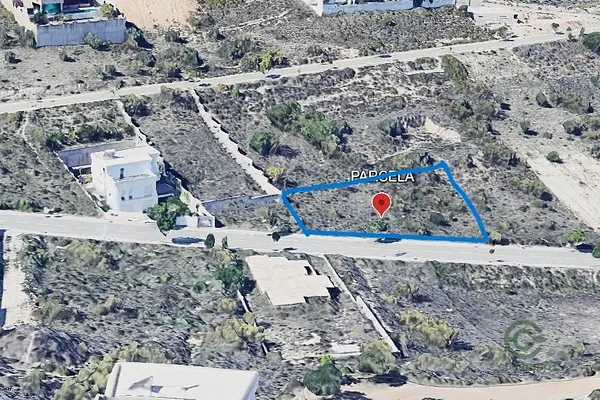 Spot image