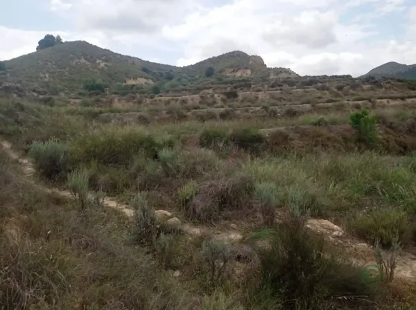 Finca agrícola de 3,6 ha en venta en S. jose de la vega, Murcia