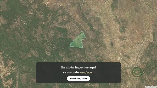 Spot image