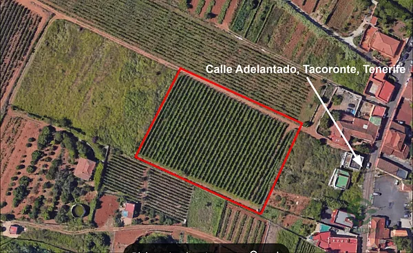 Finca agrícola de 0,612 ha en venta en Tenerife
