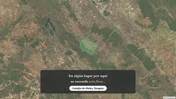 Spot image