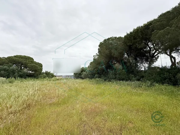 Finca rústica de 0,5 ha en venta en Puerto real, Cadiz