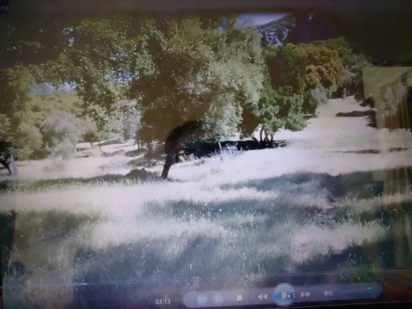 Finca rústica de 15 ha en venta en Cádiz