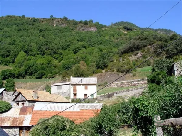 Spot image