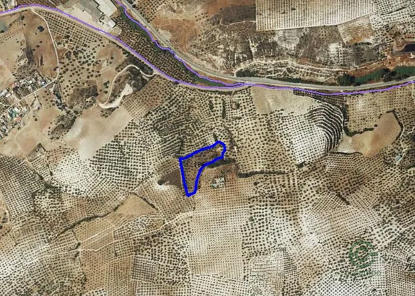 Spot image