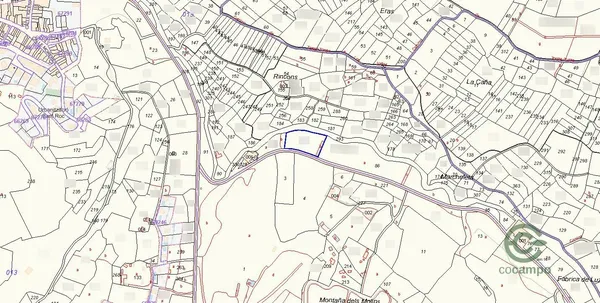 Spot image