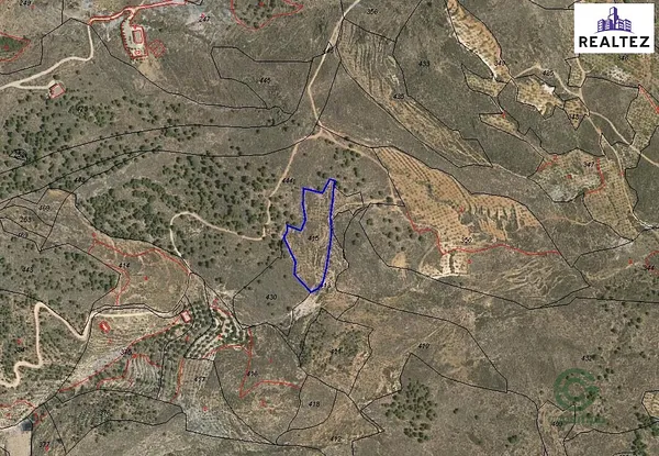 Spot image