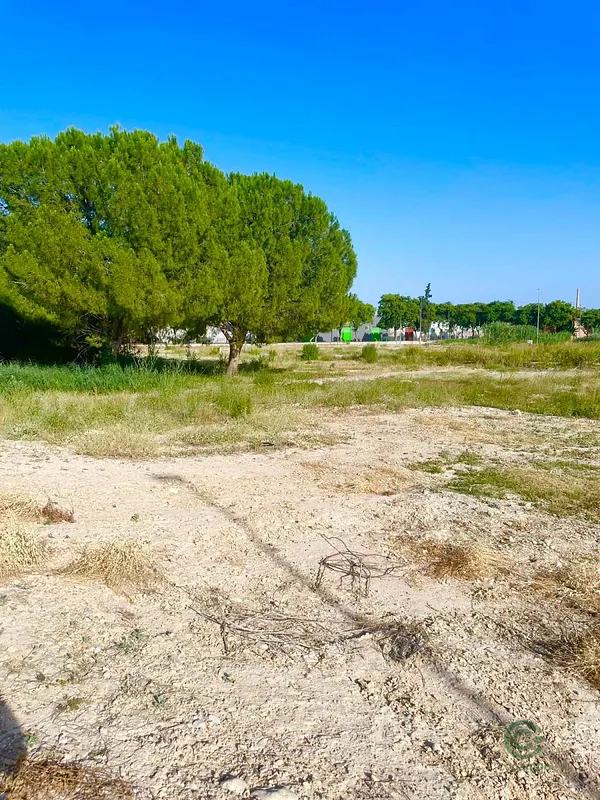 Spot image