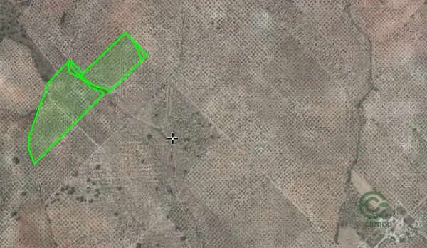 Spot image