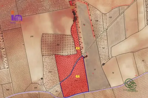 Spot image