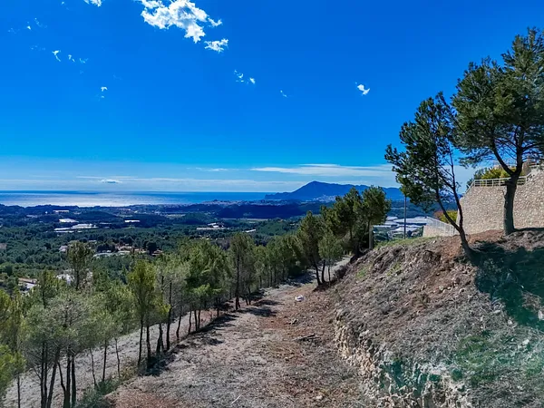 Spot image