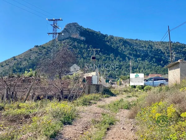 Spot image