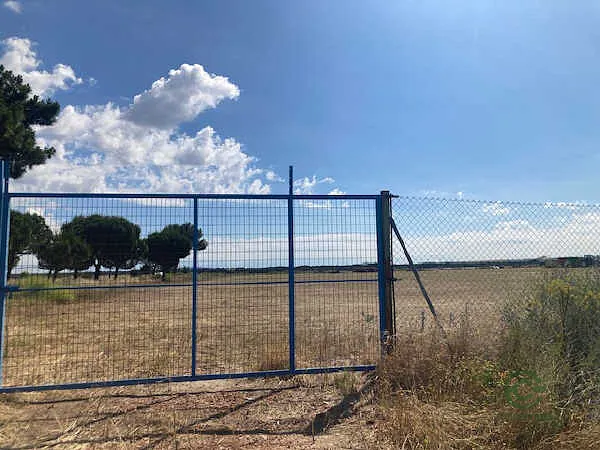 Spot image