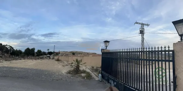 Spot image