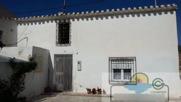 Spot image