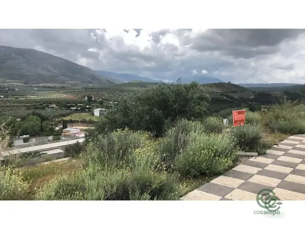Spot image