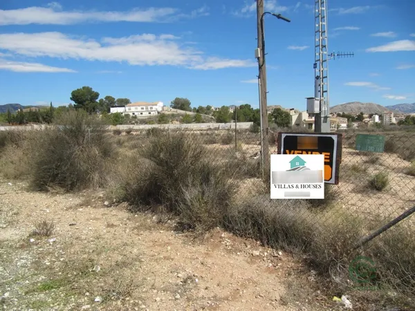 Spot image