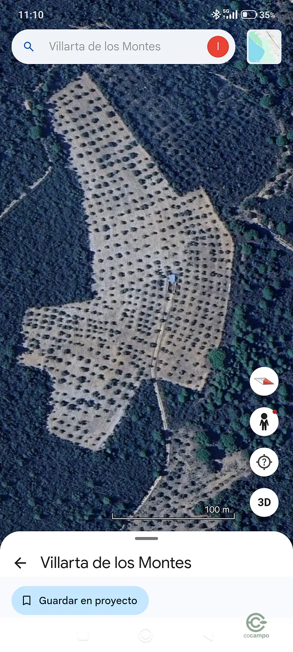 Spot image