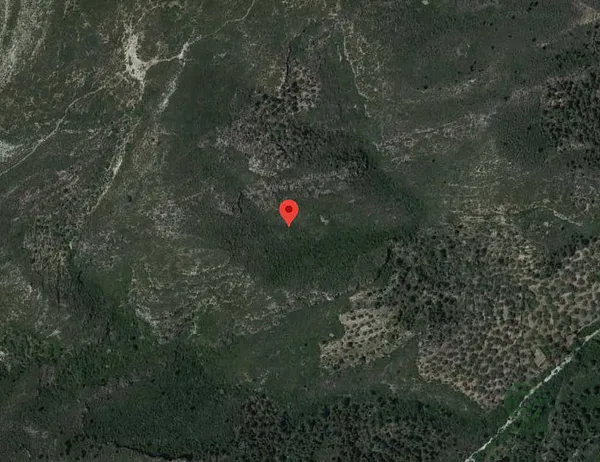 Spot image
