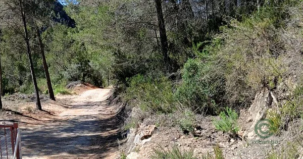 Spot image