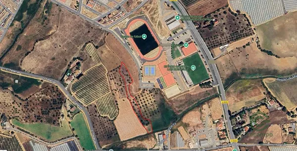 Spot image