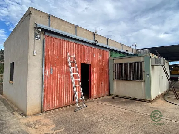 Spot image